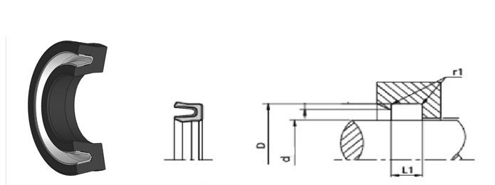 İS63 SPRING ENERGIZED PTFE ROD SEAL