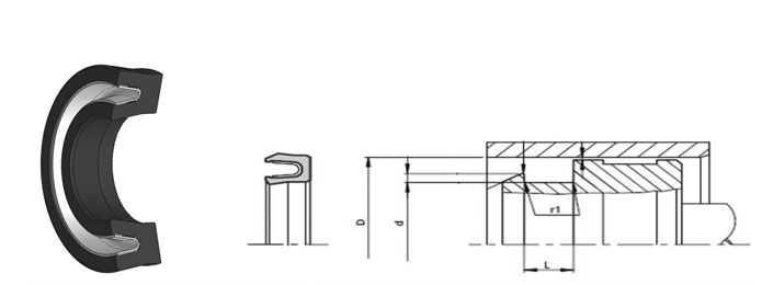 İS74 PISTON SEAL (SPRING ENERGİZED PTFE)